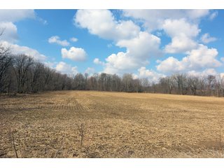 TRACT 8 - MAJOR LAND AUCTION - 719+/- ACRES OFFERED IN 14 TRACTS IN ALLEN COUNTY, OHIO